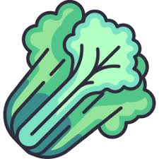nutrashifttimes.info favicon